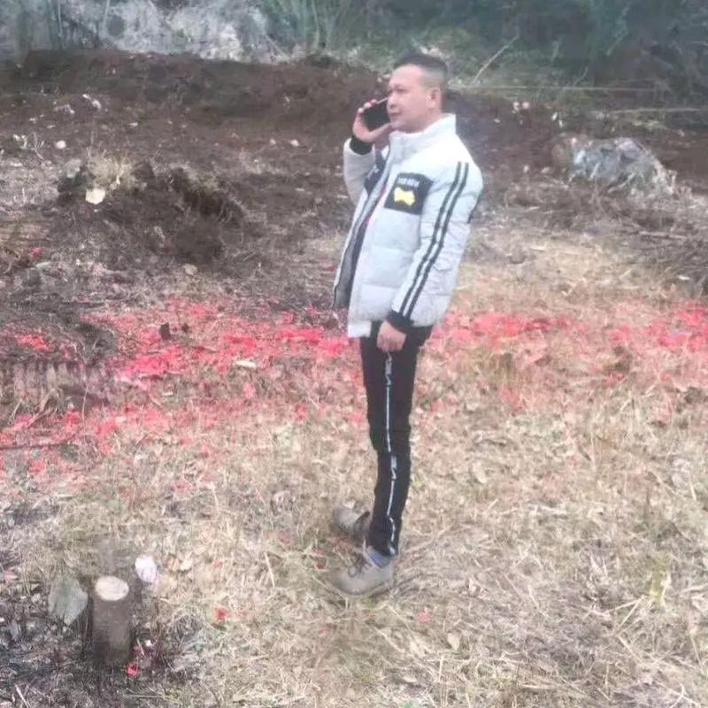 放飞自我