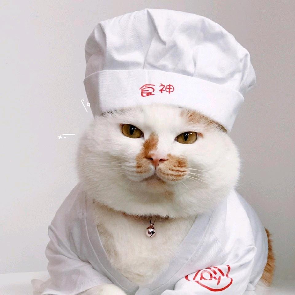 咪淇淋·东琦肠粉