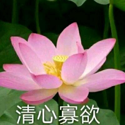 黄素华