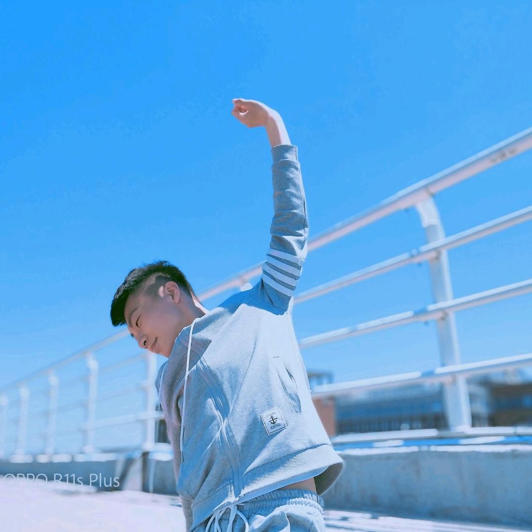 亮亮小柯基