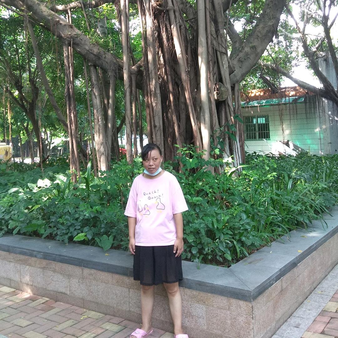 淡然若水
