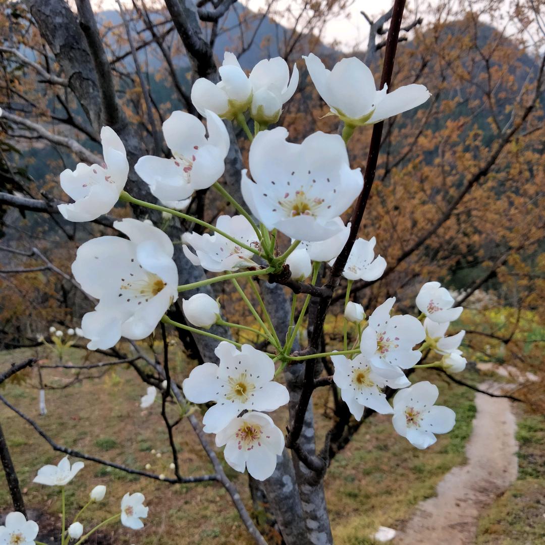 花花77年2月11的🐍🐍