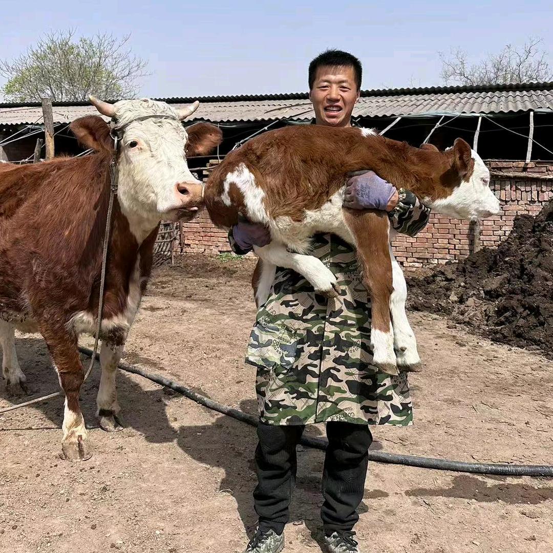 劉牛牛