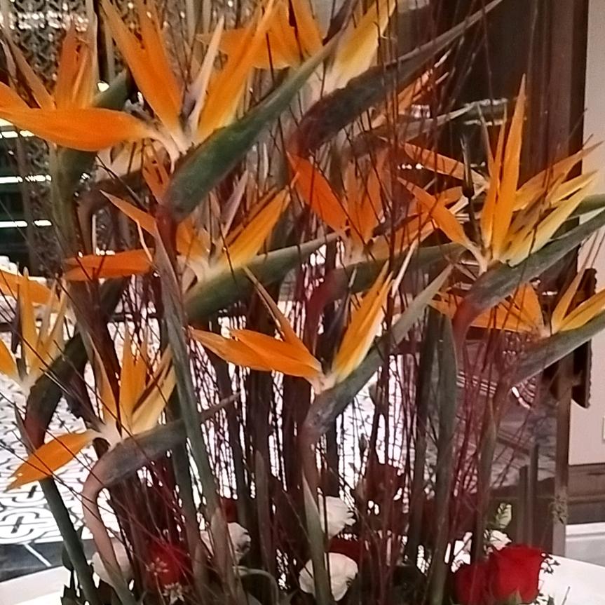 花海