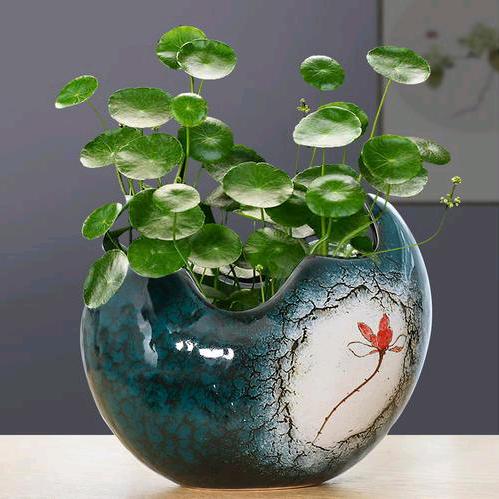 颖🍀