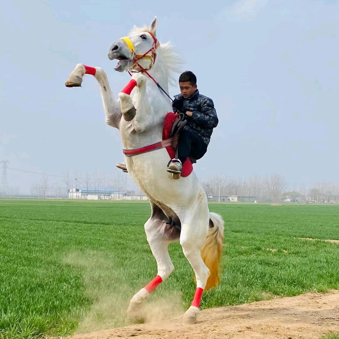 旭达马业