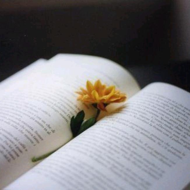 维朵酒店（重庆江北机场回兴地铁站店）