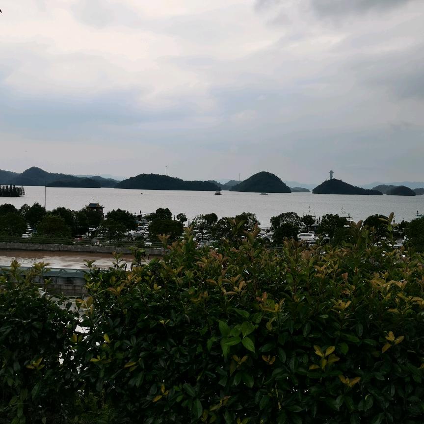 果唯伊