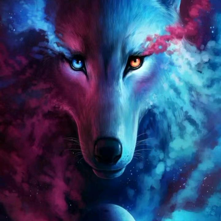 人生如梦！！！！！