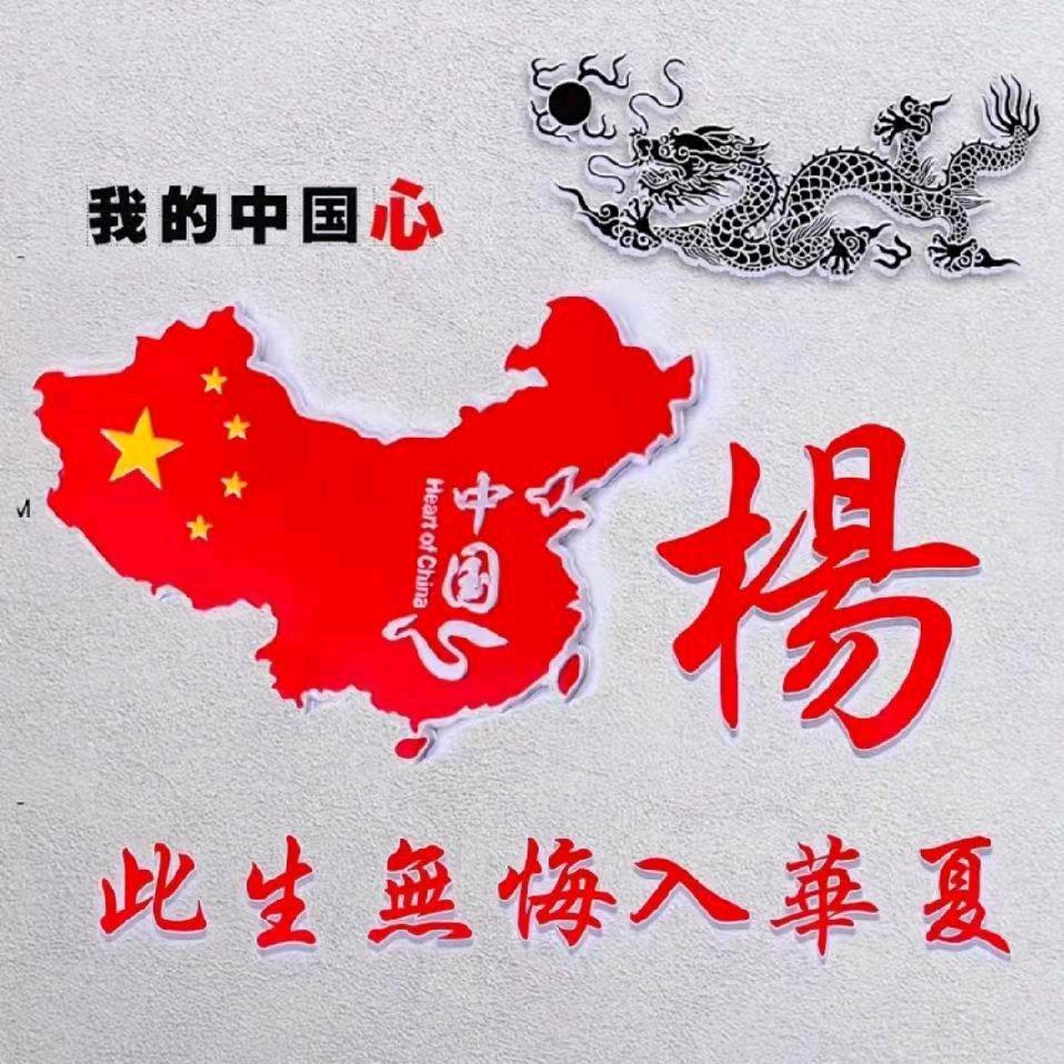杨正国《非杨勿关》