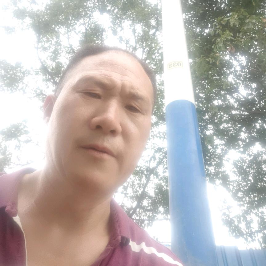 顾五