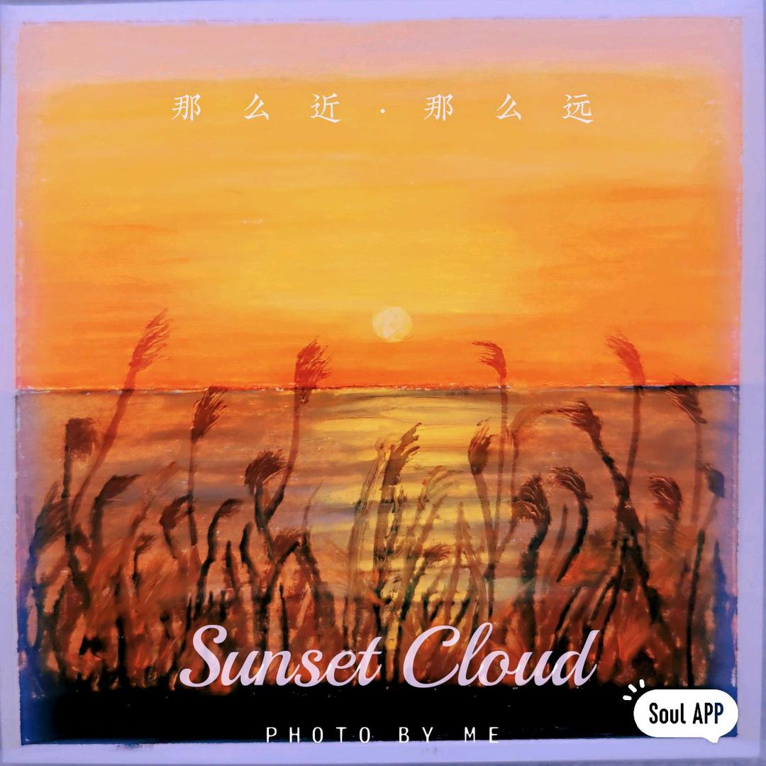 淡淡（好物在厨柜）