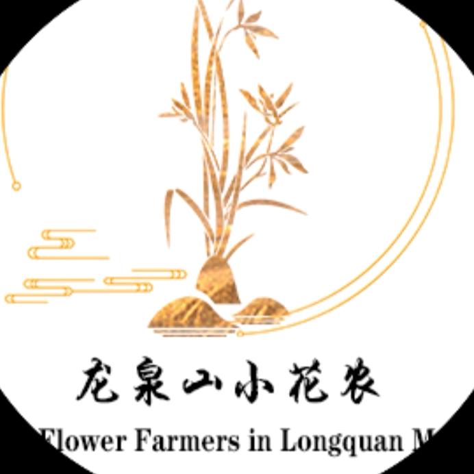龙泉山小花农-余香缘兰花
