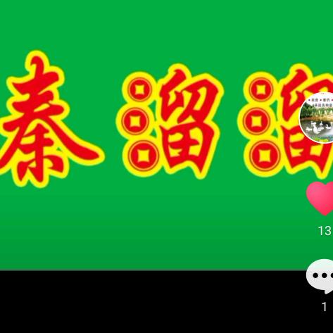 秦溜溜香薰鹅总店