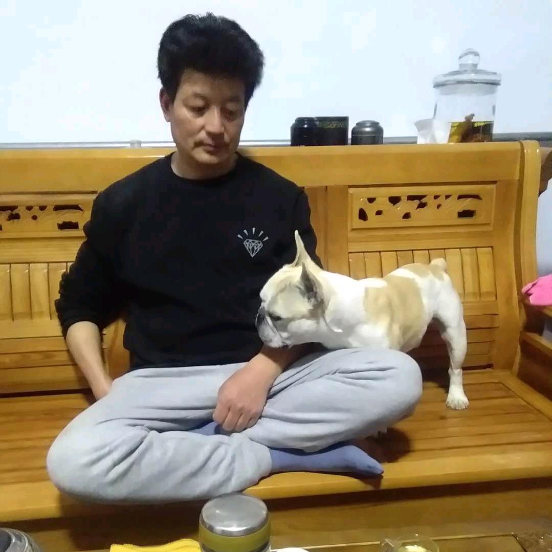 日进斗金