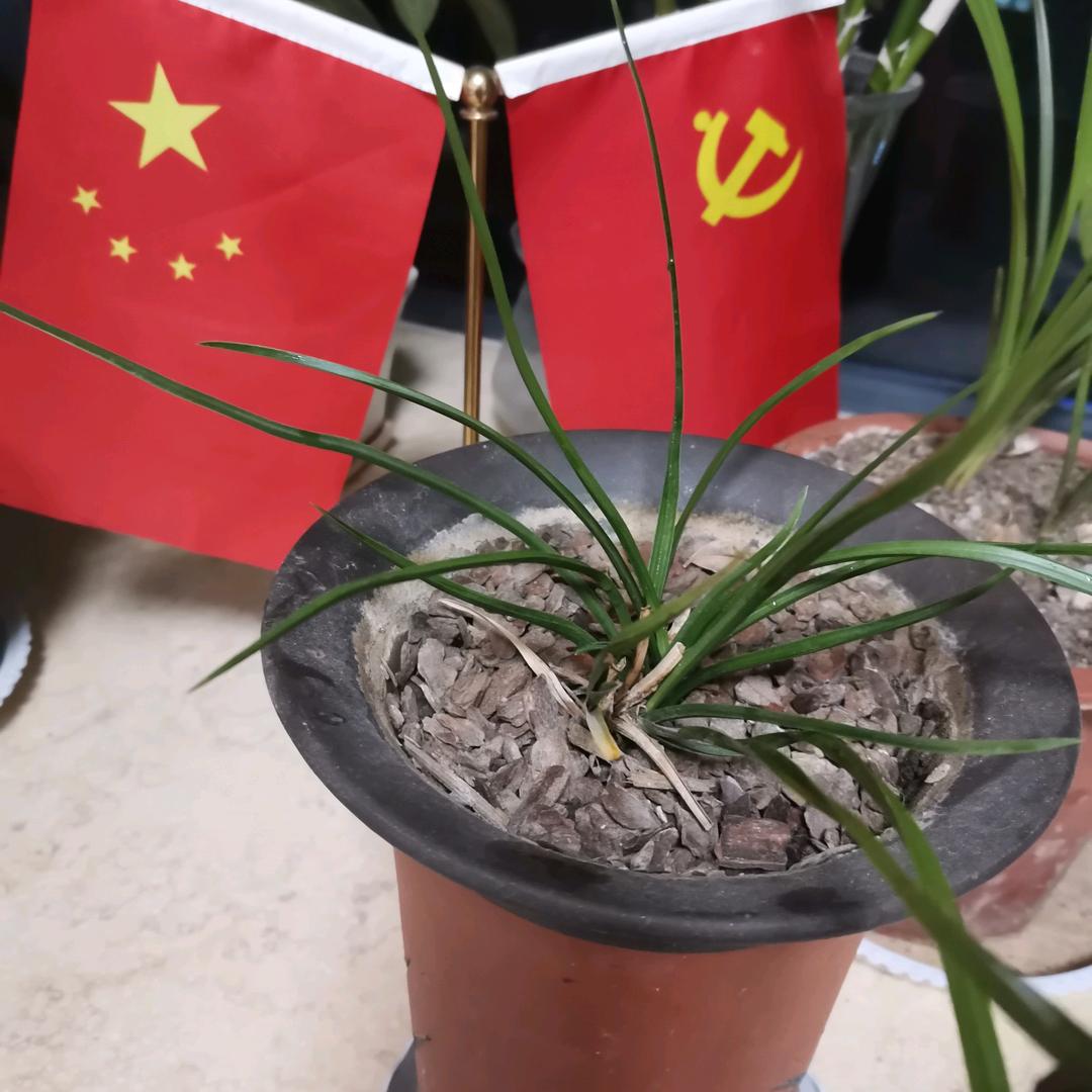 斗转星移