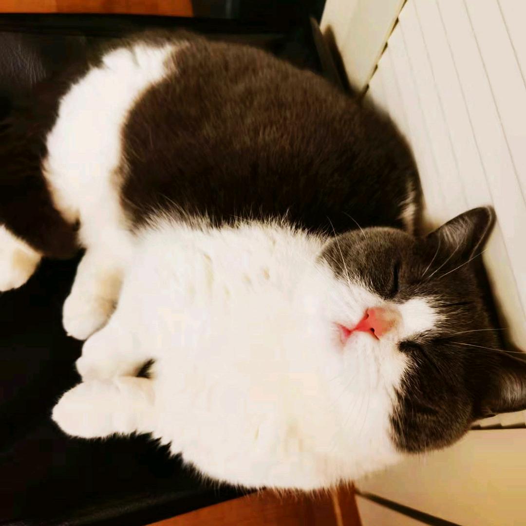 阳光是最好的滤镜🐰