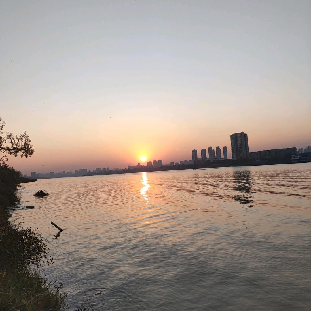 亮👩‍❤️‍👩哥