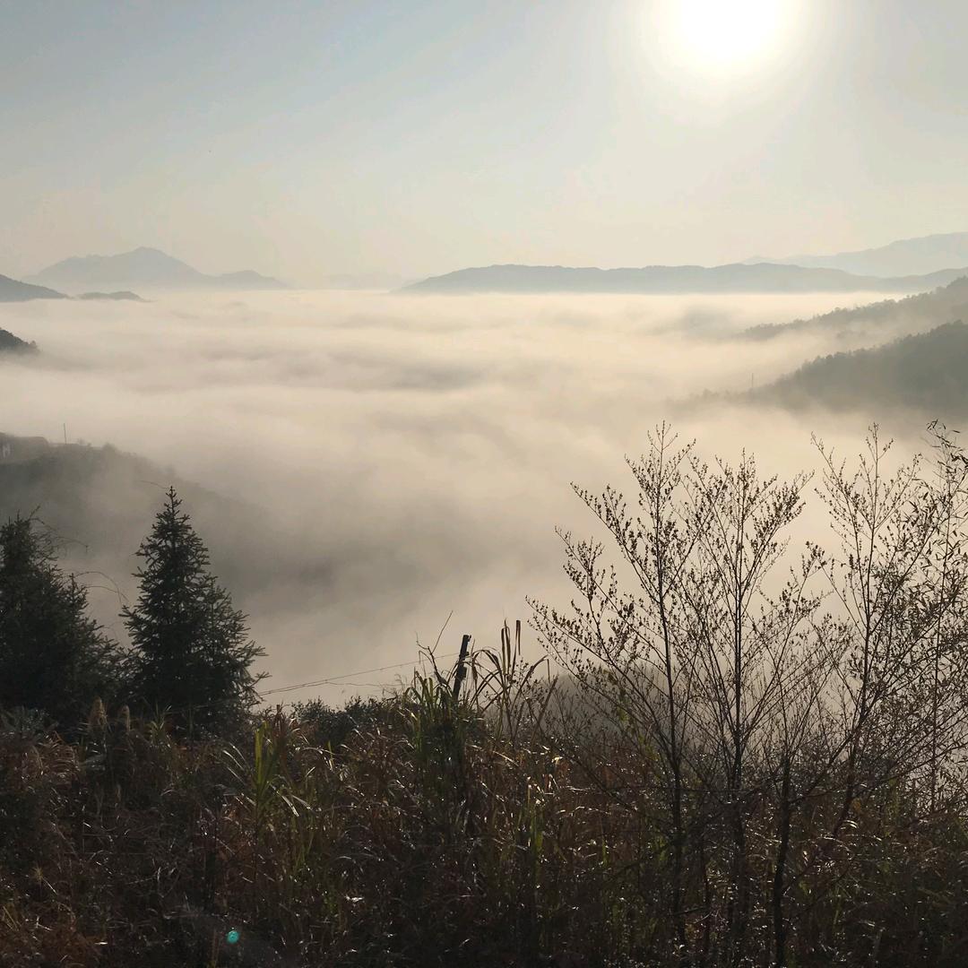 金属回收～邹生