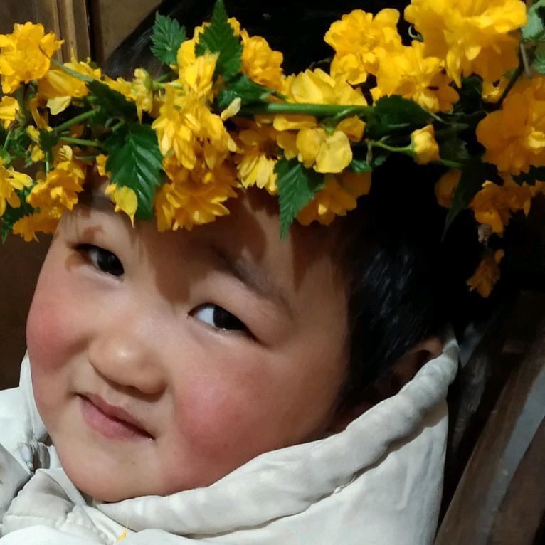 花开了，等风来