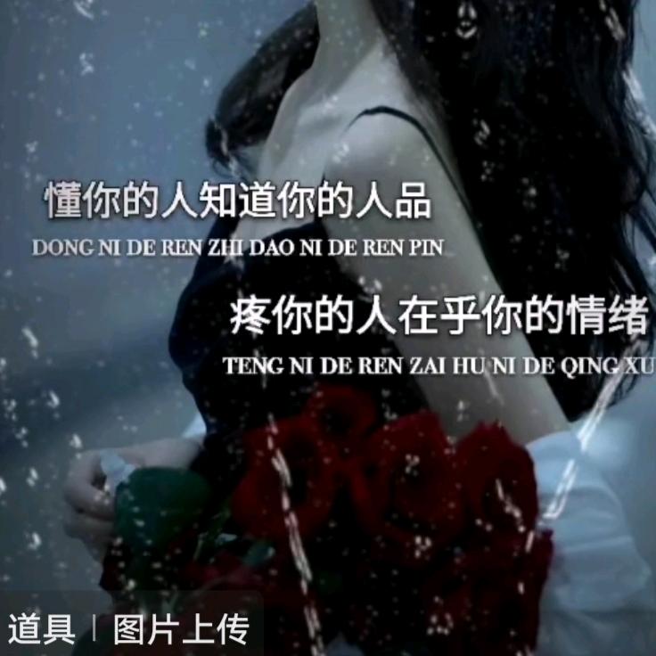 子非鱼，安知鱼之苦