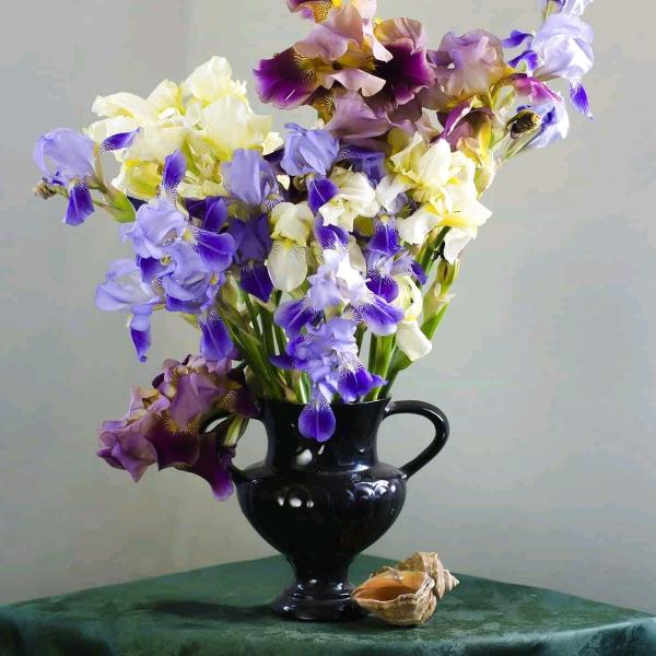 用户6250713308710顺其自然