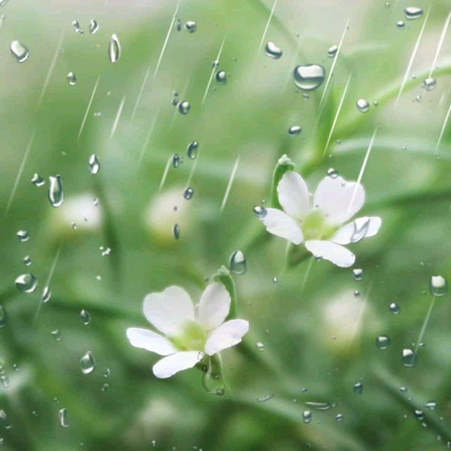 ／：1丶。。：：：