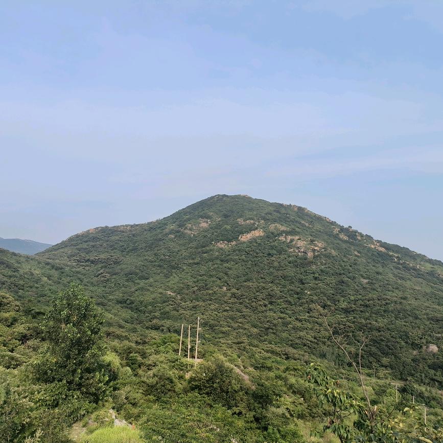 千里共婵娟（重生之卖牛肉）