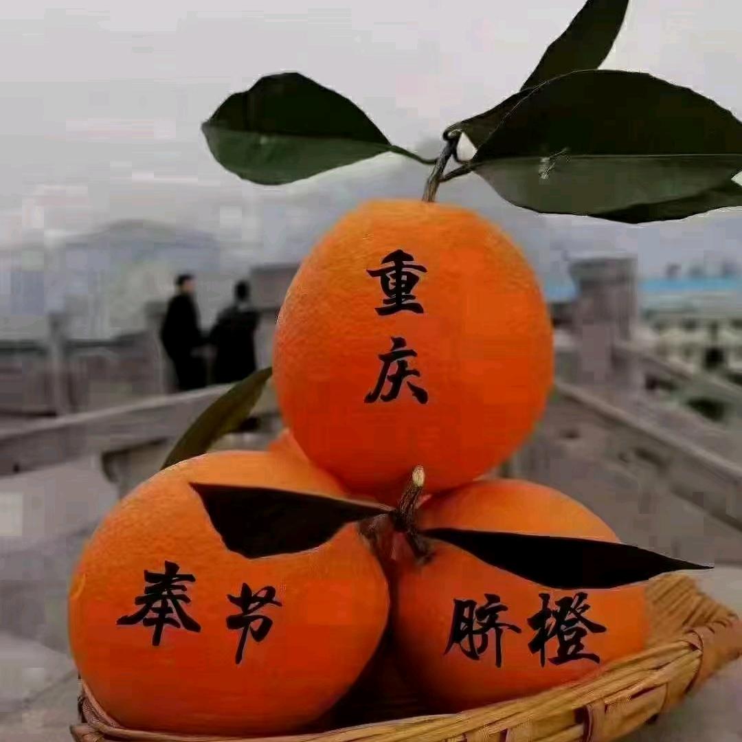 🍊清酒华裳🍊