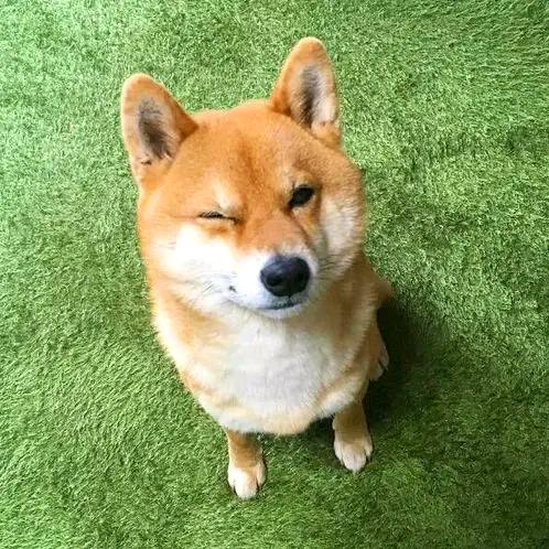 十四毅