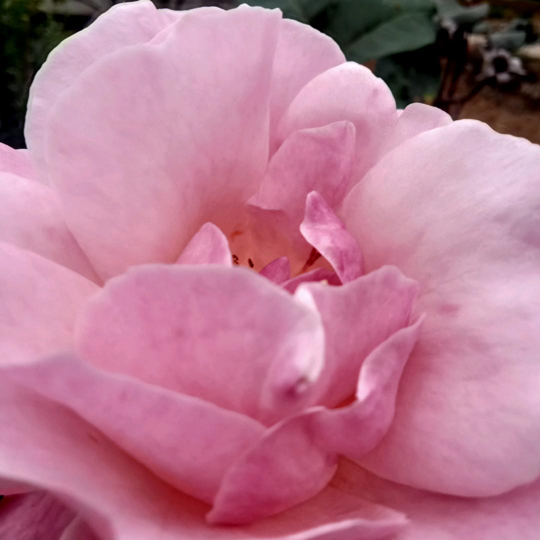 命运让人难琢磨