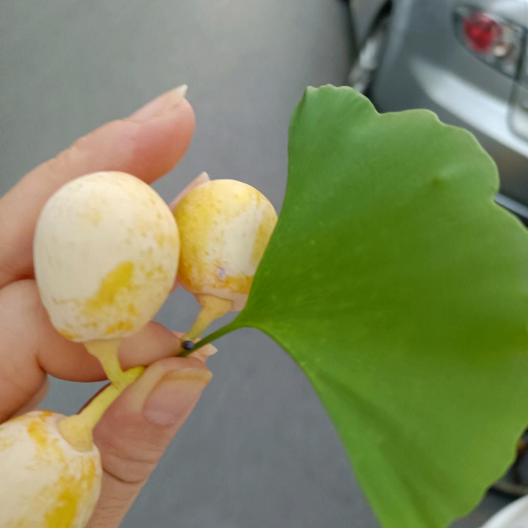 一切安好🌻花🍀姐🌵