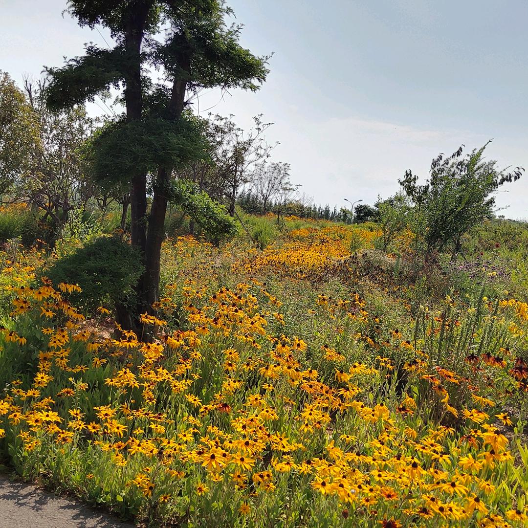稻田李营东泉农资