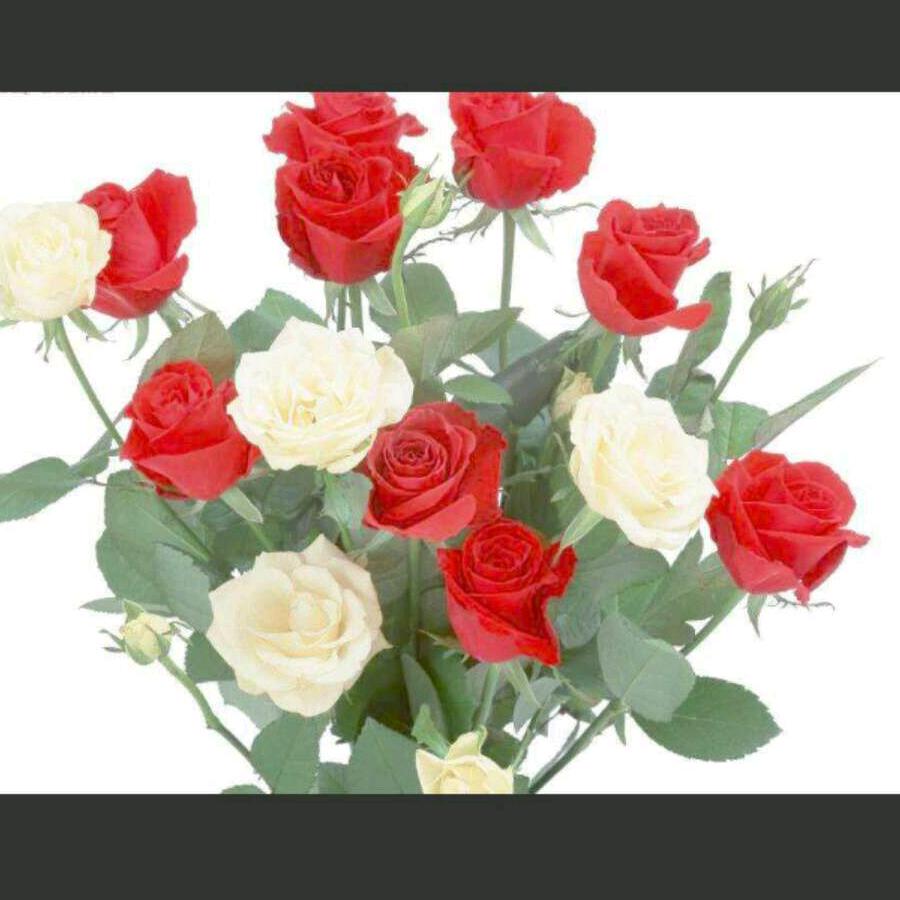 往事随风   顺其自然