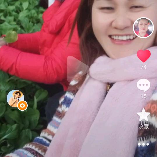 彭行香