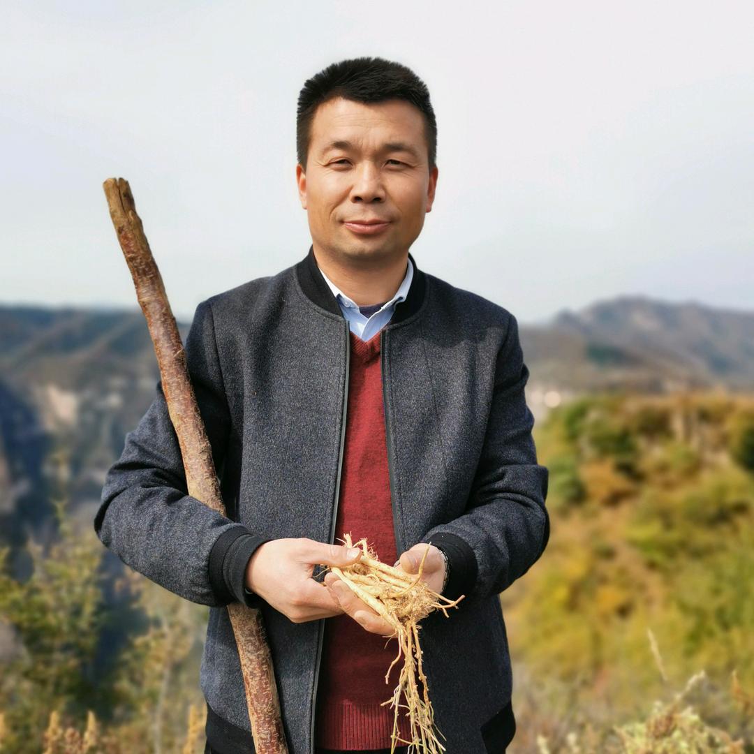 山西党参哥