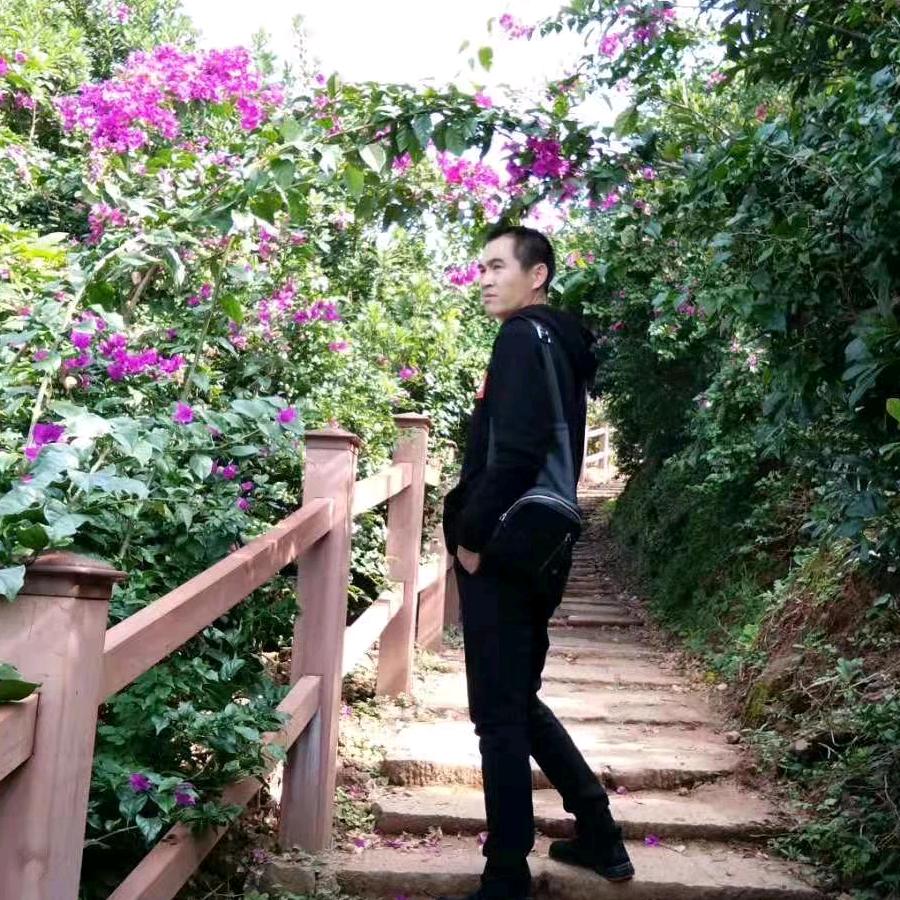 杨Yang