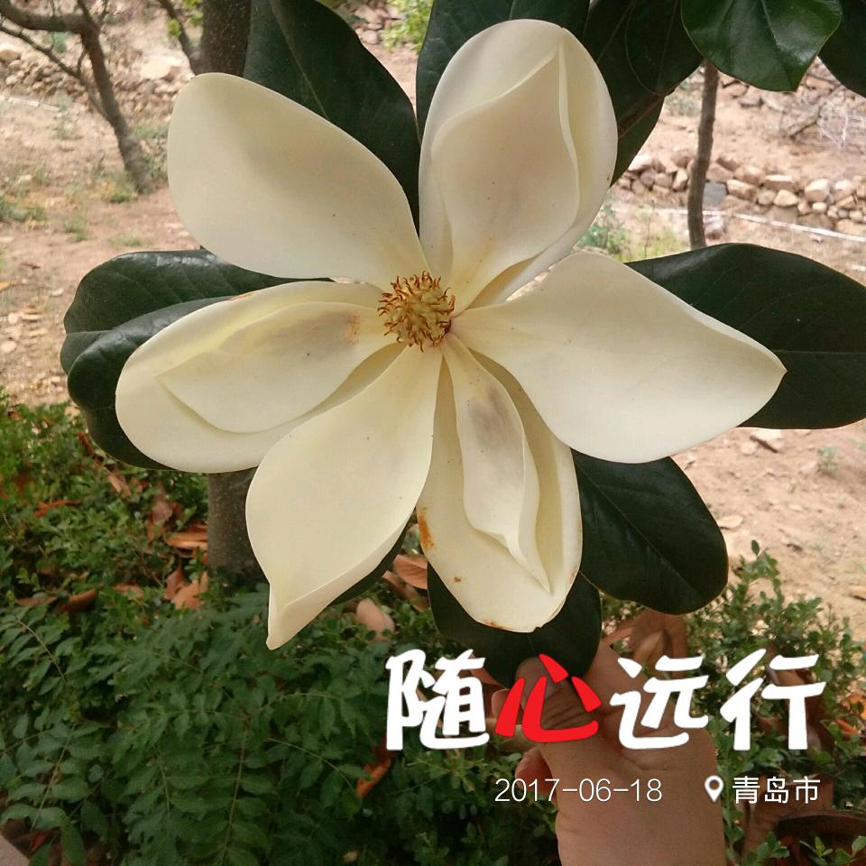 鑫鑫@好物分享