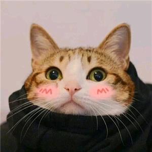 一
