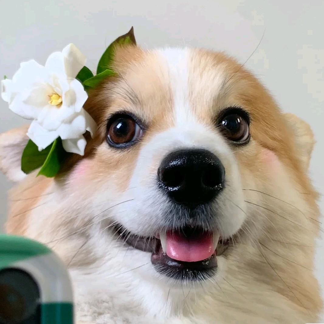 财神爷的心肝小宝贝💰