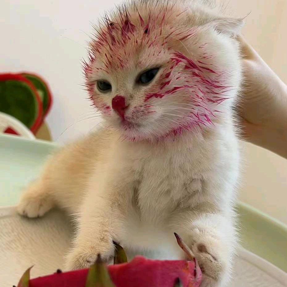 ○○○○○○○○○