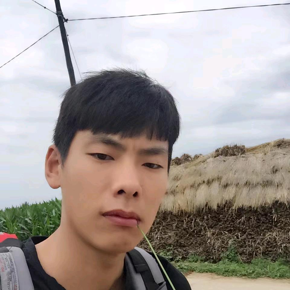 莽村李宏伟。
