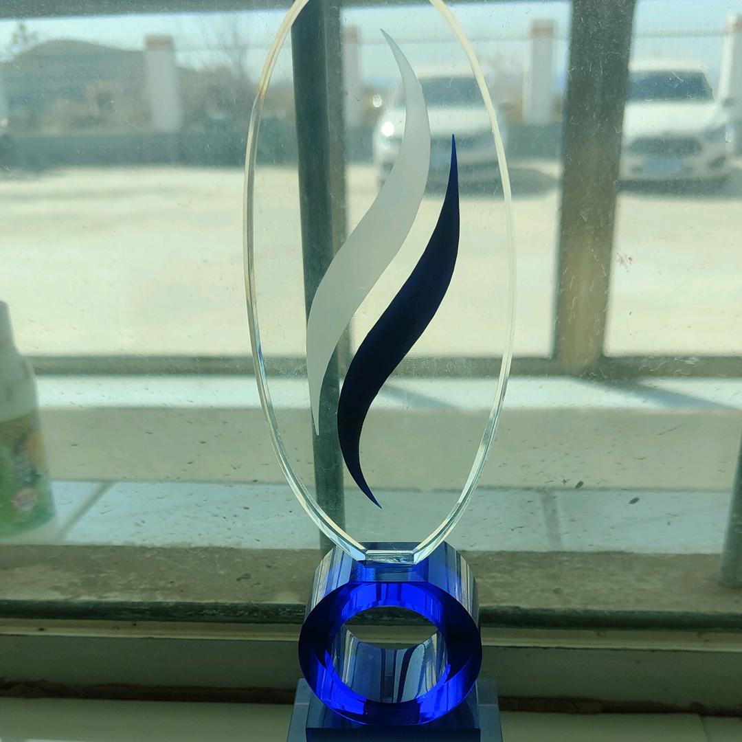 暴走的大葱香菜