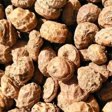 北京晶地达农业科技有限公司