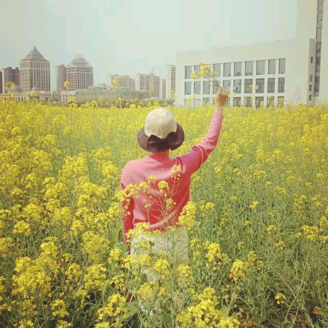 幸运草🍀