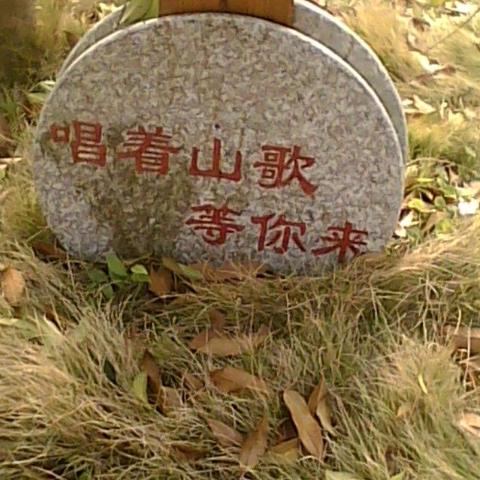 蒙蒙