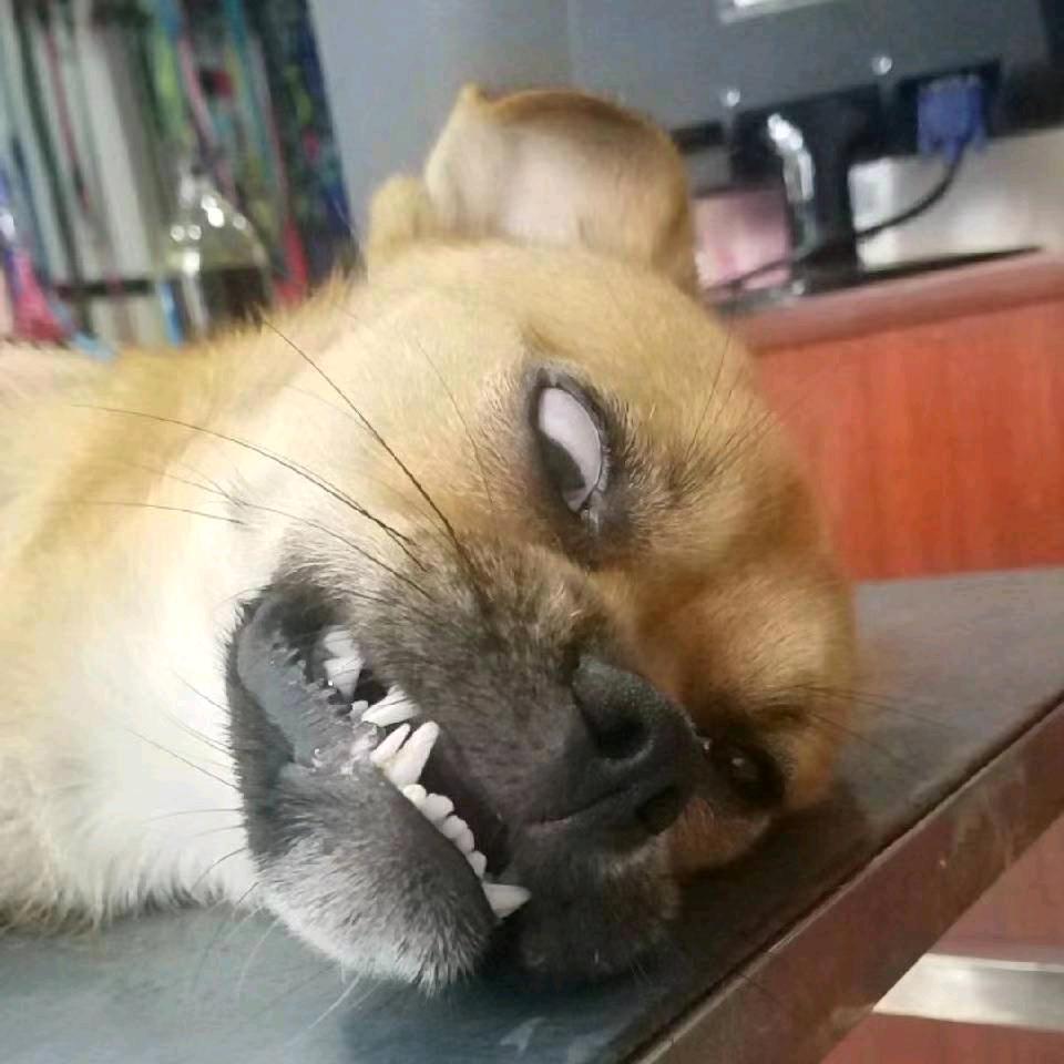 奥德彪ᴮᴴ⁸ᴳᴮᵛ