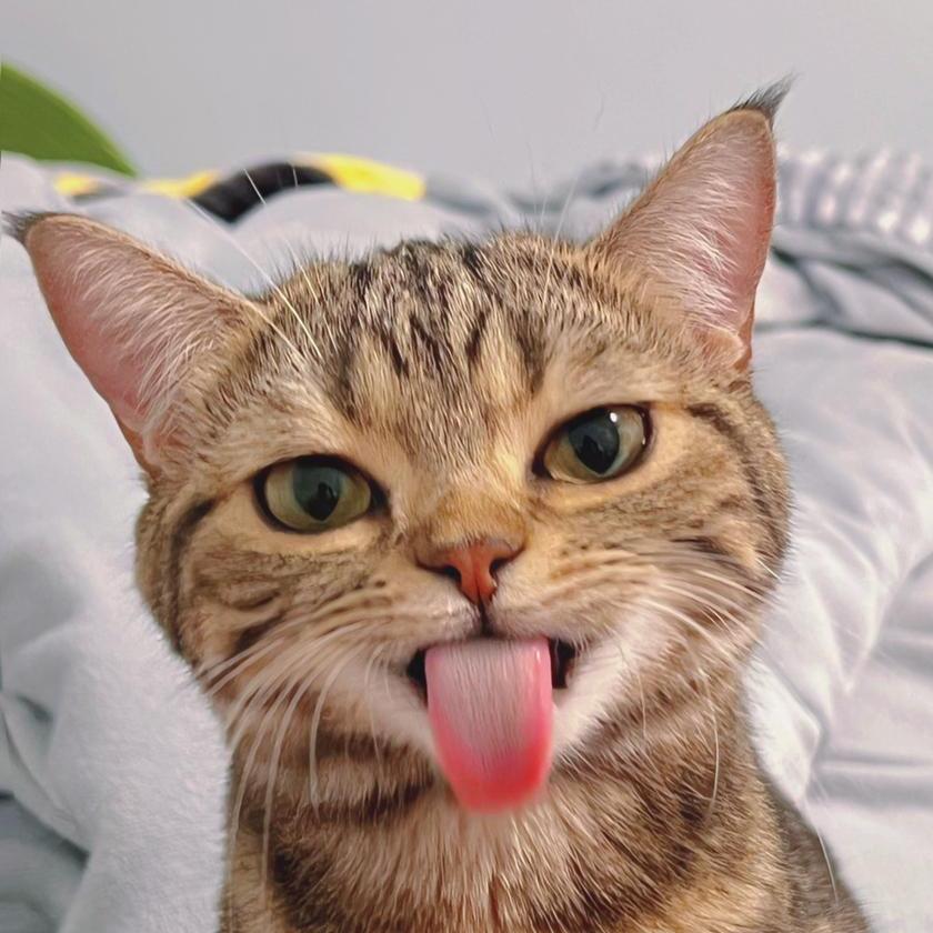 左右    .