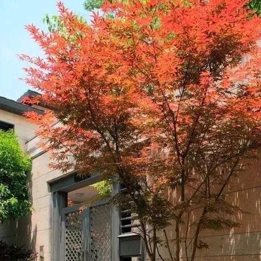 手机用户71014931556