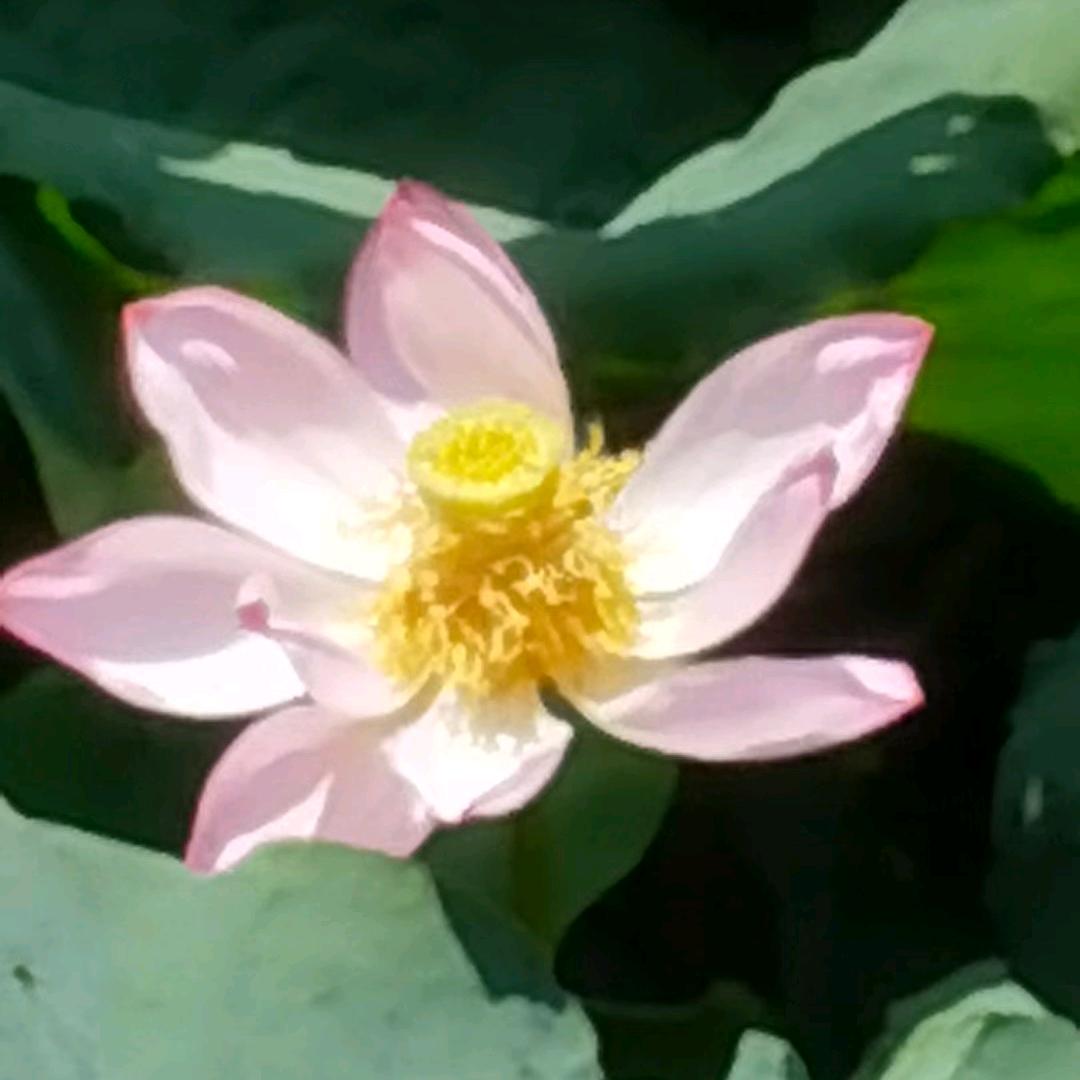 遛遛
